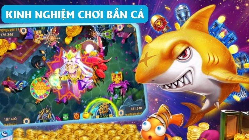 Căn chỉnh đạn hợp lý 