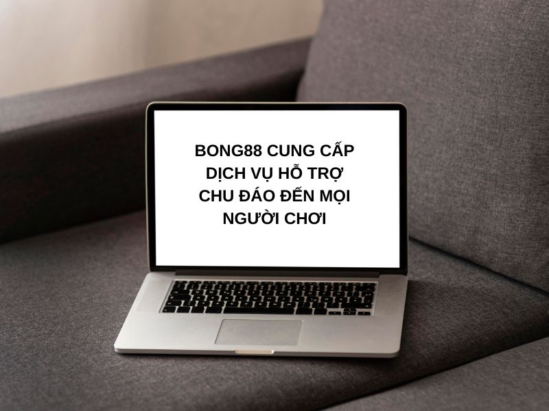 Tổng quan về dịch vụ hỗ trợ người chơi khi liên hệ Bong88