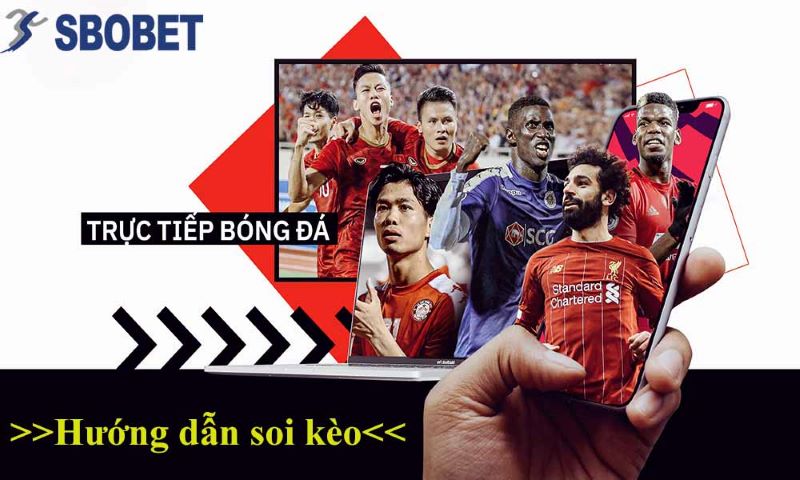 Hướng dẫn người chơi mới cách đặt cược tỷ lệ kèo tại Sbobet