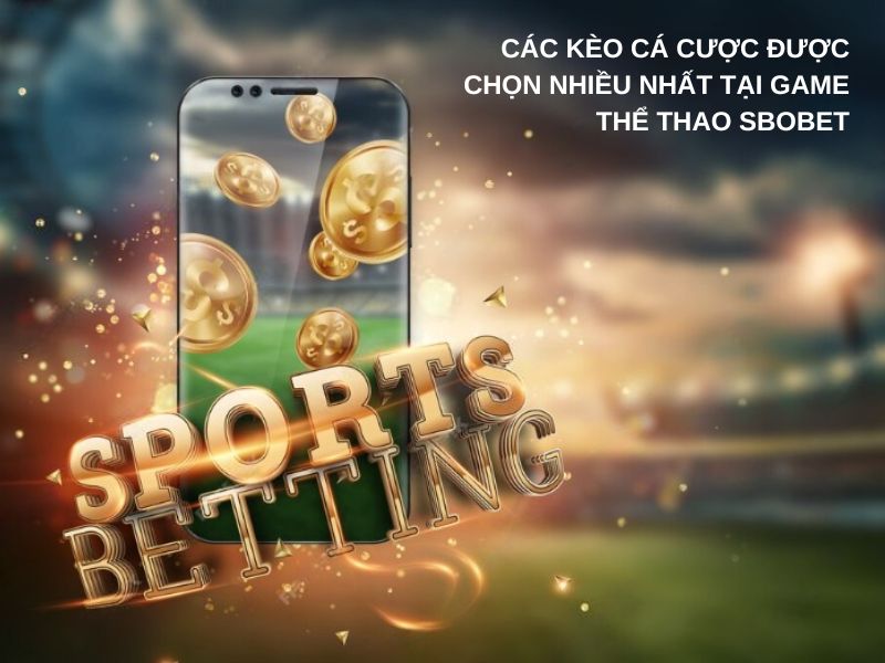 Các lựa chọn kèo cược phổ biến tại sảnh thể thao của Sbobet