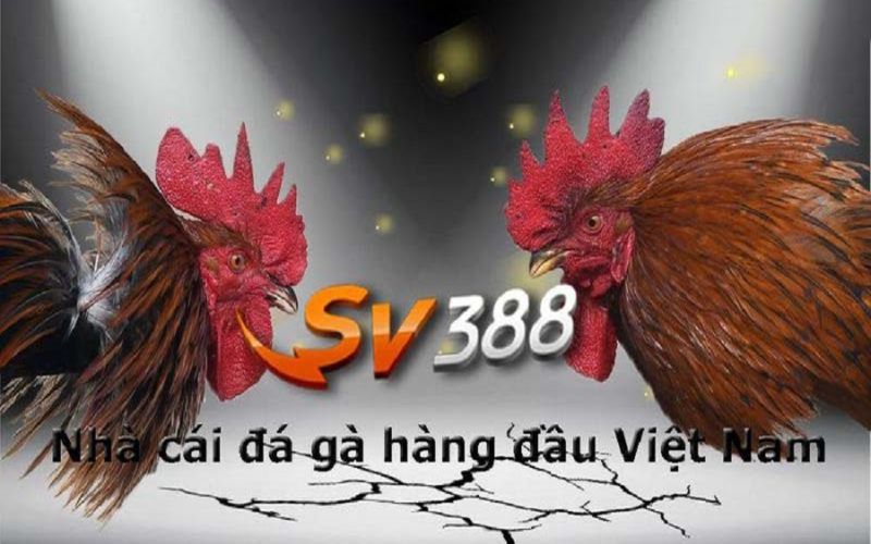 Các bước đăng ký làm đại lý sân chơi SV388 A-Z